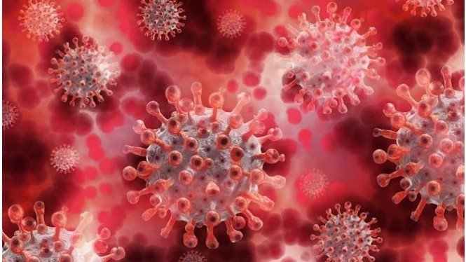 Donc, la menace d’une nouvelle pandémie, ce sont les symptômes de l’infection par le virus Nipah