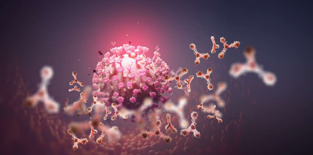 Des chercheurs brésiliens trouvent des personnes infectées par deux souches de coronavirus différentes