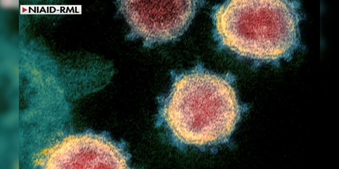 Le coronavirus pourrait bientôt devenir la principale cause de décès en Arizona, prévient un chercheur