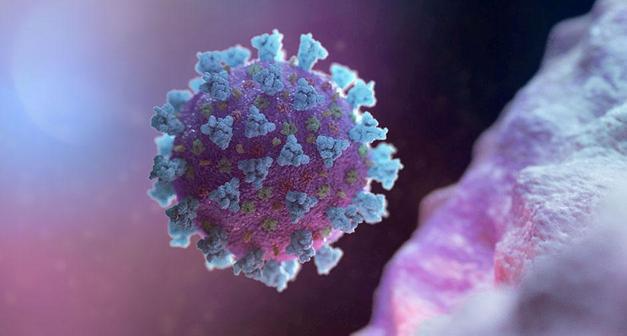 Les scientifiques ont mis en garde contre le virus Nipah: il peut exploser à tout moment!