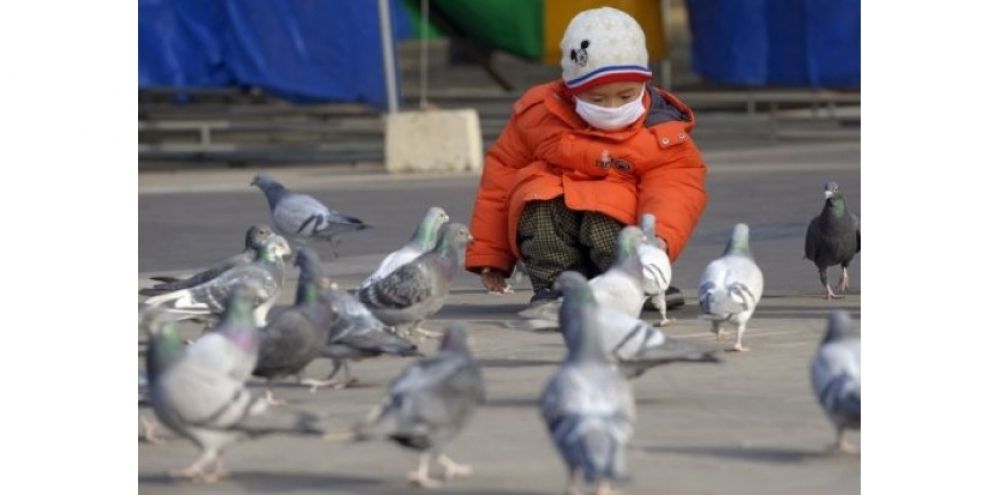 La Chine rapport de nouveaux cas humains de grippe aviaire A(H2N9) et A(H5N6)