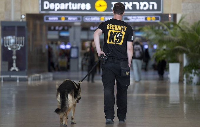 Toutes les compagnies aériennes internationales interrompent leur service aérien avec Israël