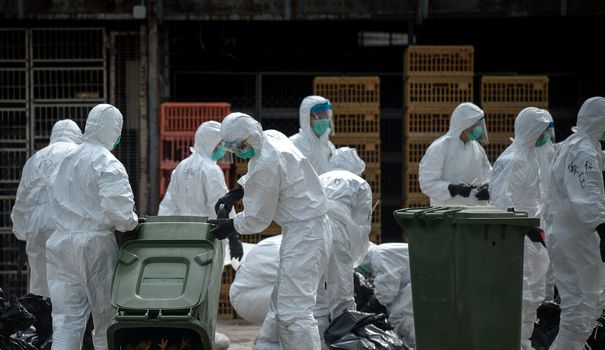 En Chine, le premier cas humain de grippe aviaire H10N3 détecté